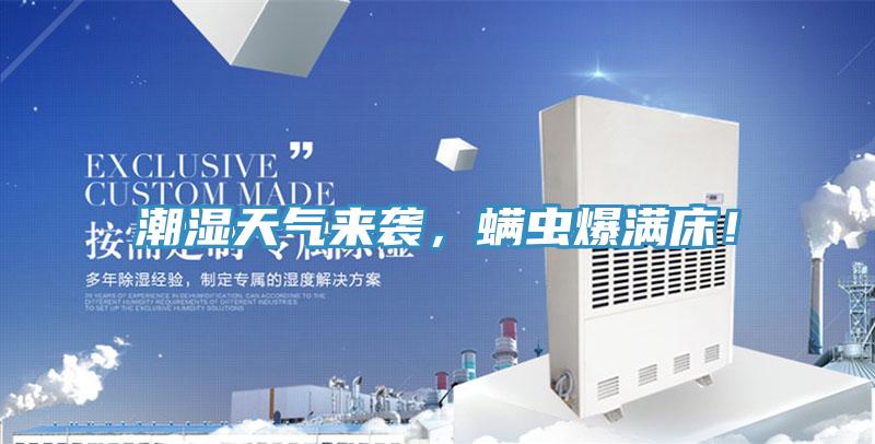 潮濕天氣來(lái)襲，螨蟲(chóng)爆滿床！