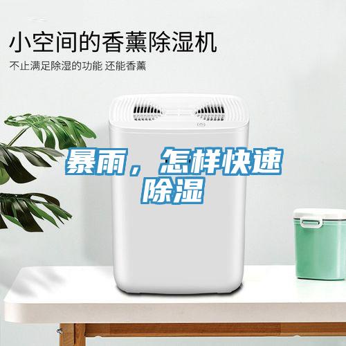 暴雨，怎樣快速除濕