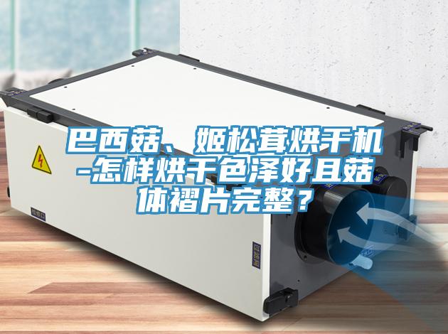 巴西菇、姬松茸烘干機-怎樣烘干色澤好且菇體褶片完整？