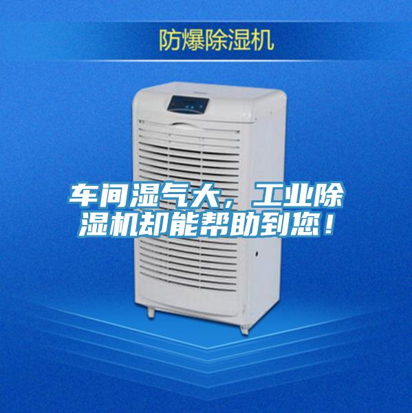 車間濕氣大，工業(yè)除濕機(jī)卻能幫助到您！