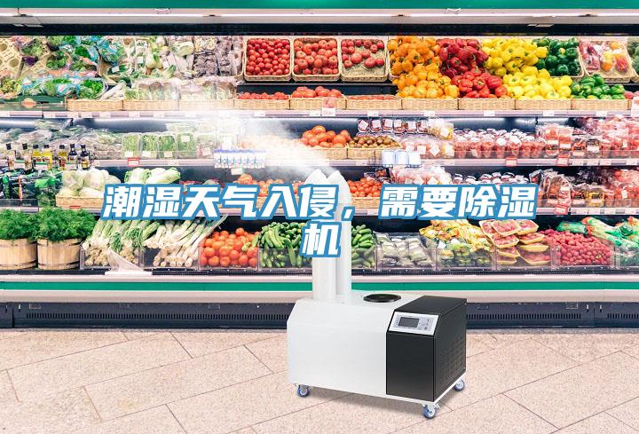 潮濕天氣入侵，需要除濕機(jī)