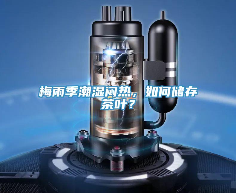 梅雨季潮濕悶熱，如何儲(chǔ)存茶葉？