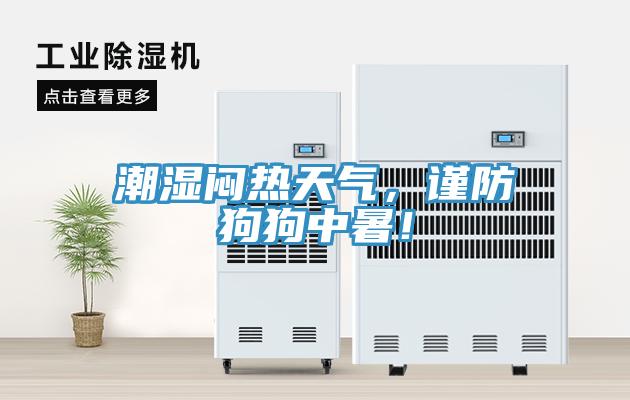 潮濕悶熱天氣，謹防狗狗中暑！