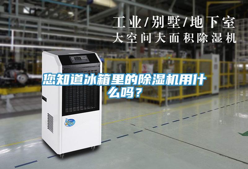 您知道冰箱里的除濕機(jī)用什么嗎？