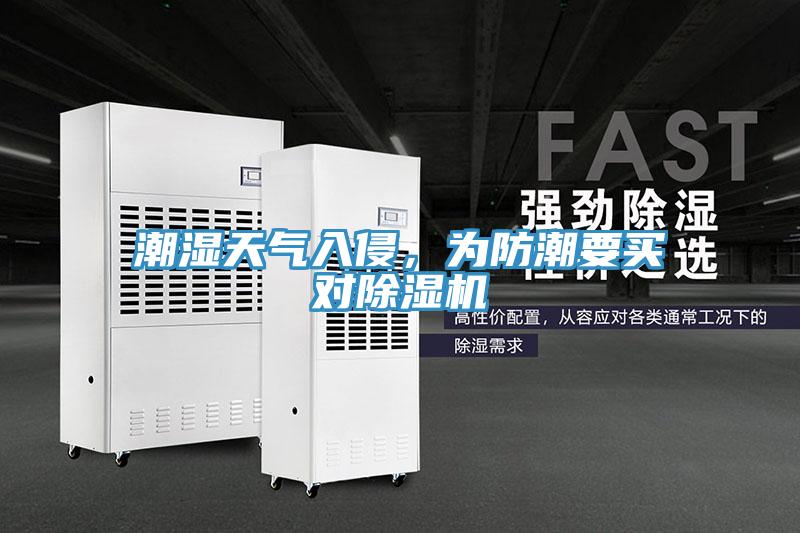 潮濕天氣入侵，為防潮要買對除濕機