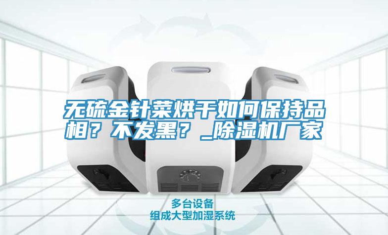 無硫金針菜烘干如何保持品相？不發(fā)黑？_除濕機廠家