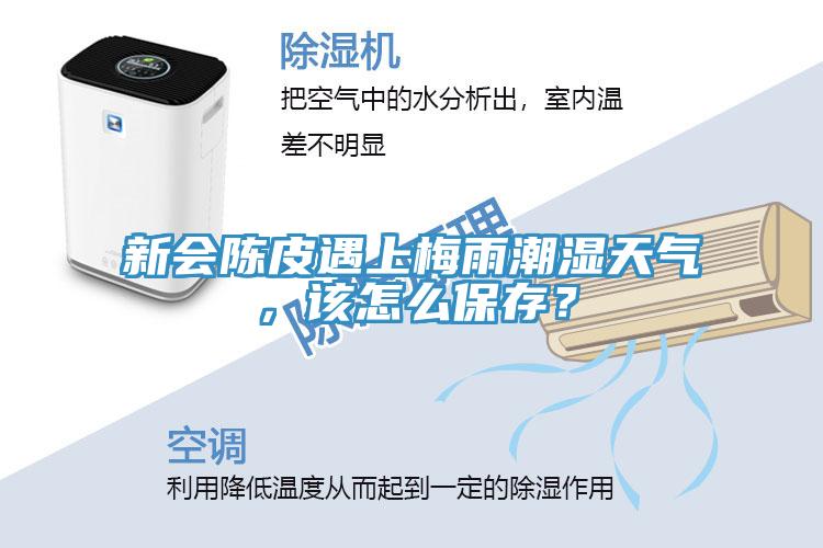 新會(huì)陳皮遇上梅雨潮濕天氣，該怎么保存？