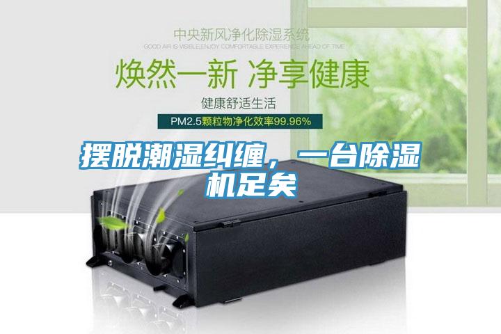 擺脫潮濕糾纏，一臺(tái)除濕機(jī)足矣