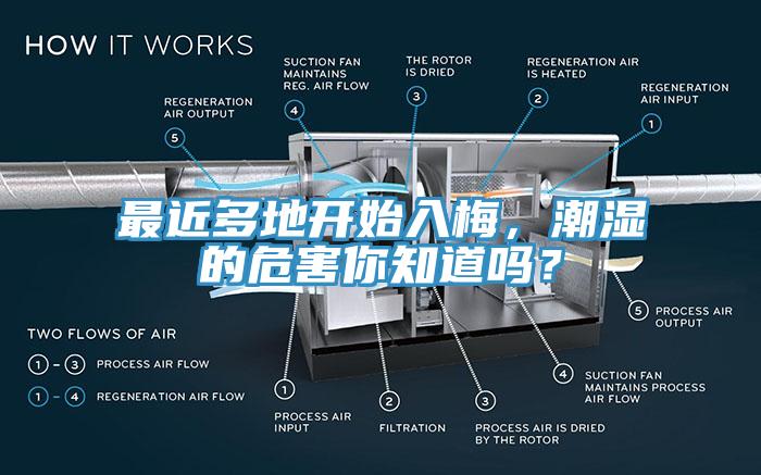 最近多地開始入梅，潮濕的危害你知道嗎？