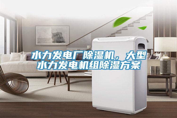 水力發(fā)電廠除濕機，大型水力發(fā)電機組除濕方案