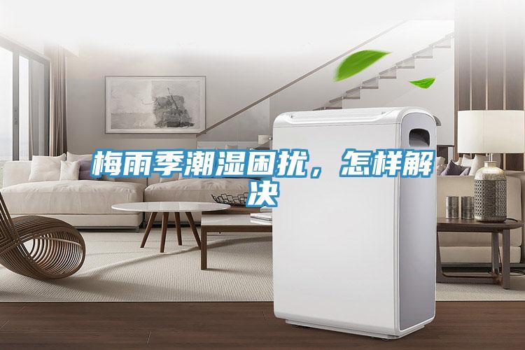 梅雨季潮濕困擾，怎樣解決