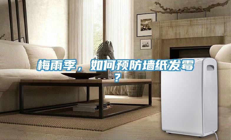 梅雨季，如何預(yù)防墻紙發(fā)霉？