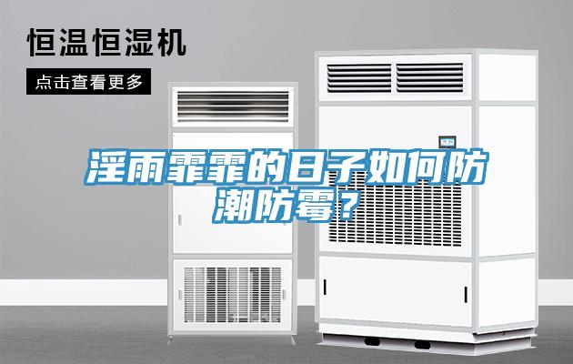淫雨霏霏的日子如何防潮防霉？