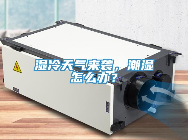 濕冷天氣來襲，潮濕怎么辦？
