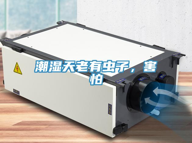 潮濕天老有蟲子，害怕