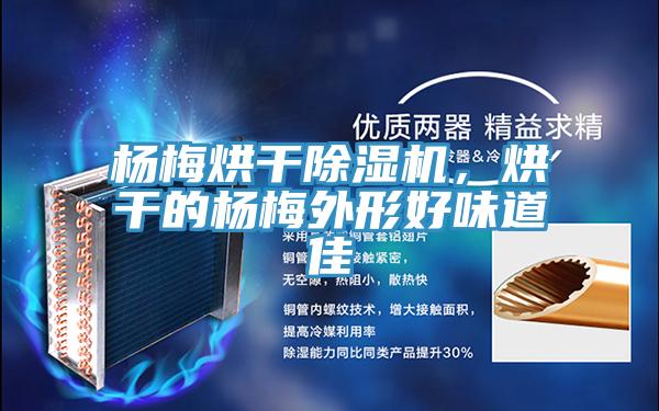 楊梅烘干除濕機，烘干的楊梅外形好味道佳