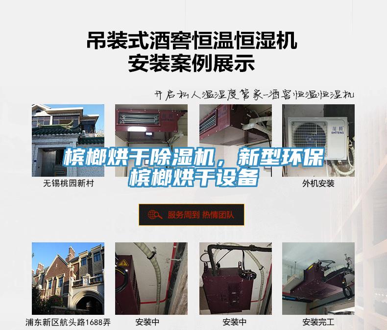 檳榔烘干除濕機(jī)，新型環(huán)保檳榔烘干設(shè)備