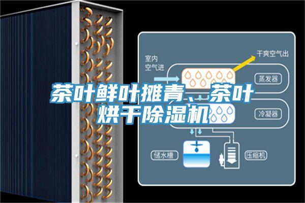 茶葉鮮葉攤青、茶葉烘干除濕機(jī)