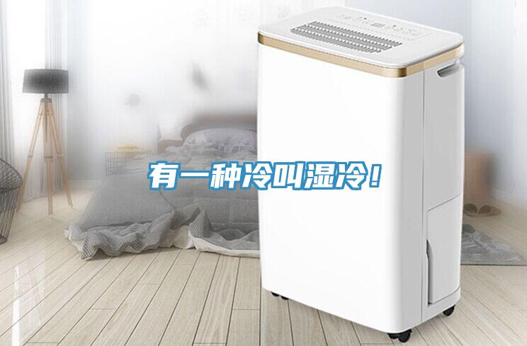 有一種冷叫濕冷！