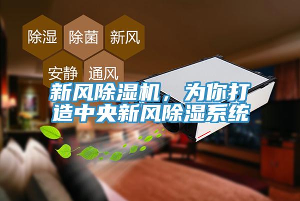 新風除濕機，為你打造中央新風除濕系統(tǒng)