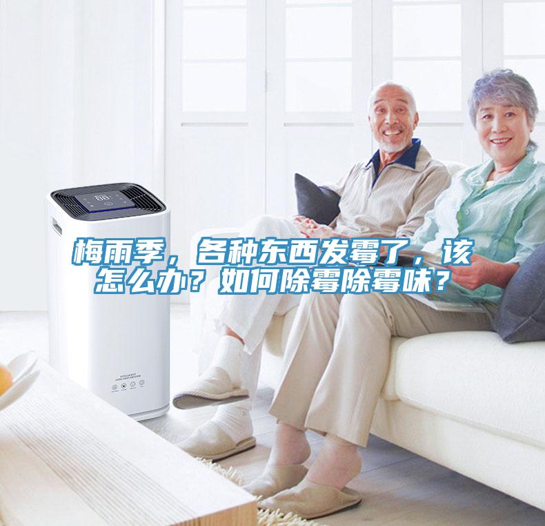 梅雨季，各種東西發(fā)霉了，該怎么辦？如何除霉除霉味？
