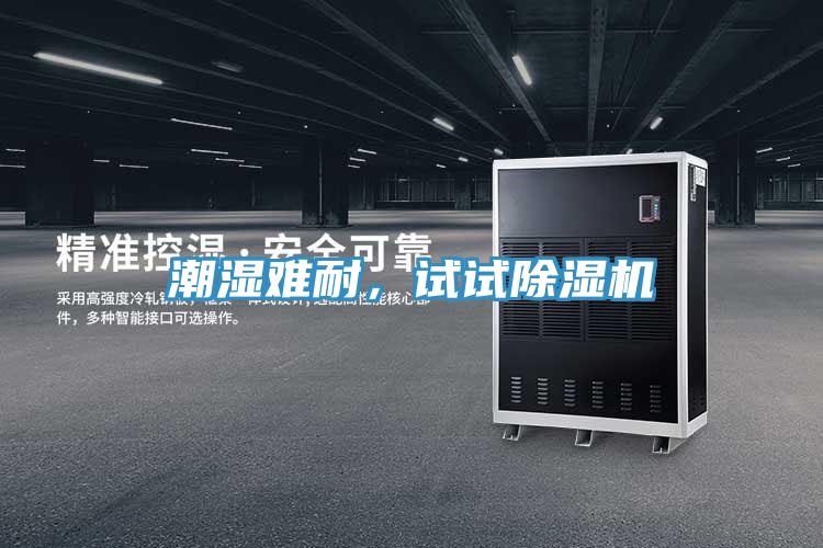 潮濕難耐，試試除濕機(jī)
