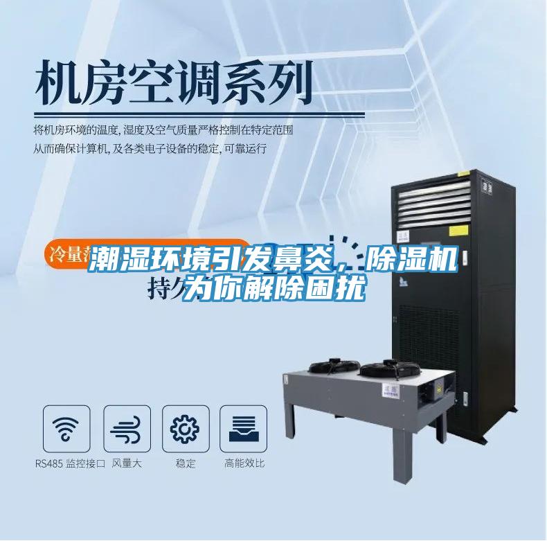 潮濕環(huán)境引發(fā)鼻炎，除濕機(jī)為你解除困擾
