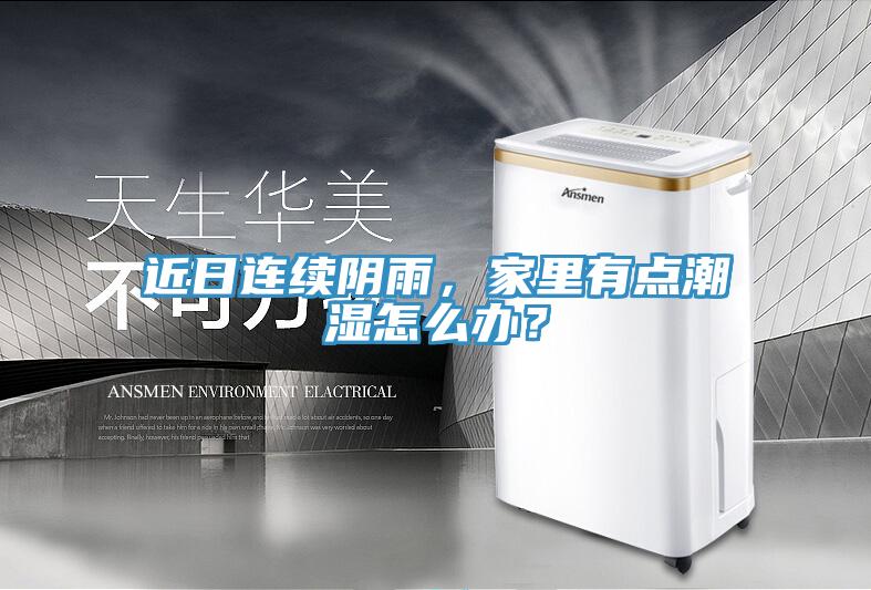 近日連續(xù)陰雨，家里有點(diǎn)潮濕怎么辦？