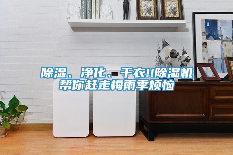 除濕、凈化、干衣!!除濕機(jī)幫你趕走梅雨季煩惱