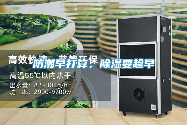 防潮早打算，除濕要趁早