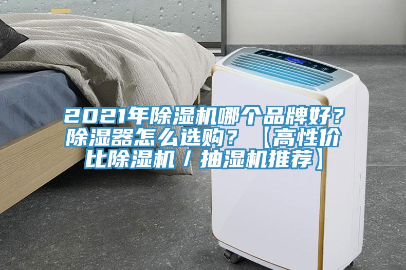2021年除濕機哪個品牌好？除濕器怎么選購？【高性價比除濕機／抽濕機推薦】