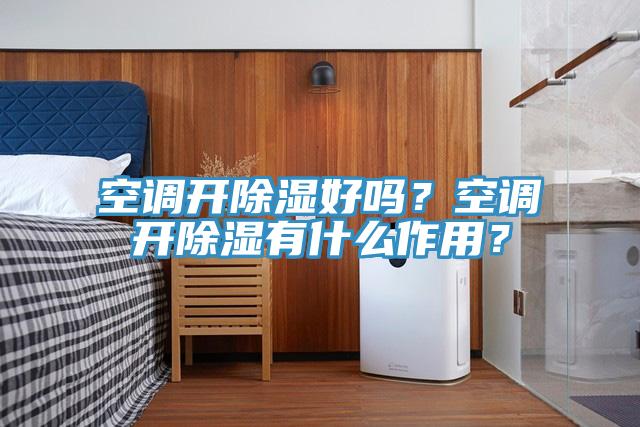 空調(diào)開(kāi)除濕好嗎？空調(diào)開(kāi)除濕有什么作用？