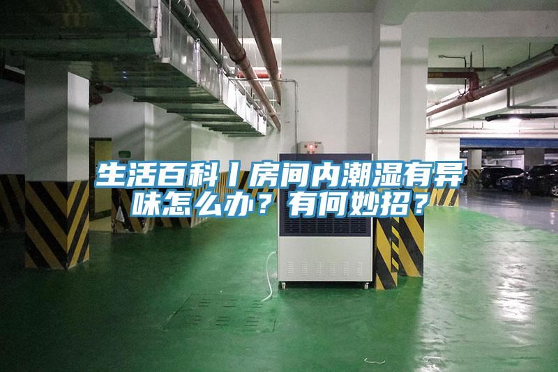 生活百科丨房間內(nèi)潮濕有異味怎么辦？有何妙招？