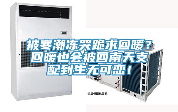 被寒潮凍哭跪求回暖？回暖也會被回南天支配到生無可戀！
