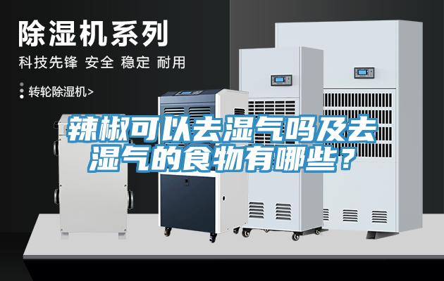 辣椒可以去濕氣嗎及去濕氣的食物有哪些？