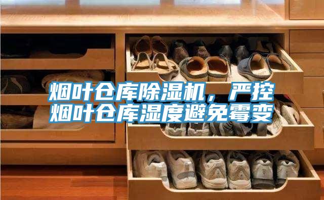 煙葉倉庫除濕機(jī)，嚴(yán)控?zé)熑~倉庫濕度避免霉變