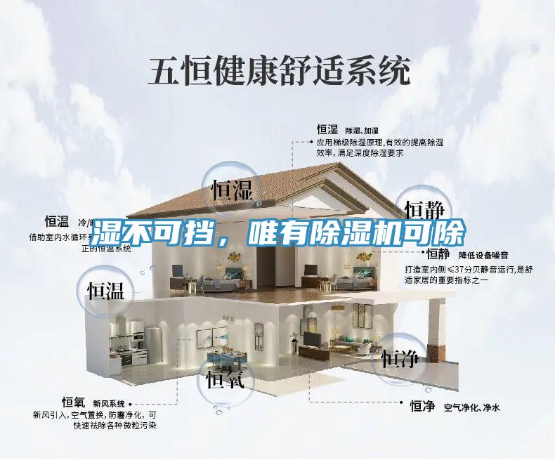 濕不可擋，唯有除濕機(jī)可除