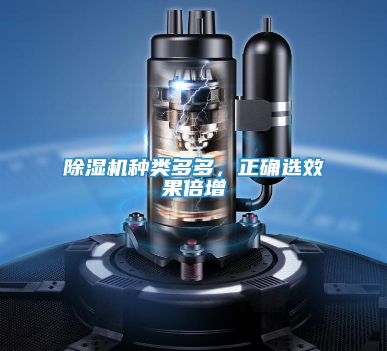 除濕機(jī)種類多多，正確選效果倍增