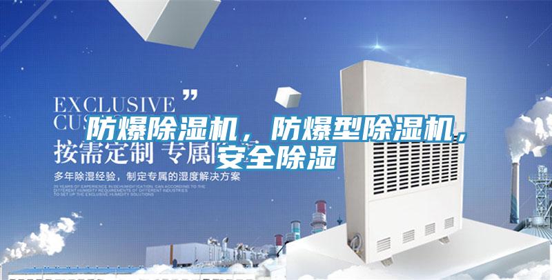 防爆除濕機(jī)，防爆型除濕機(jī)，安全除濕
