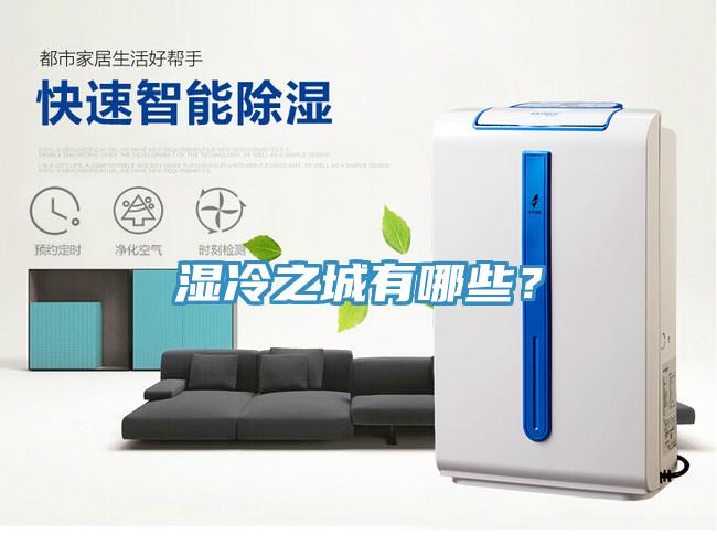 濕冷之城有哪些？