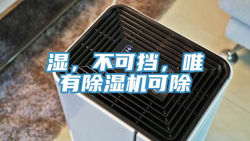 濕，不可擋，唯有除濕機(jī)可除