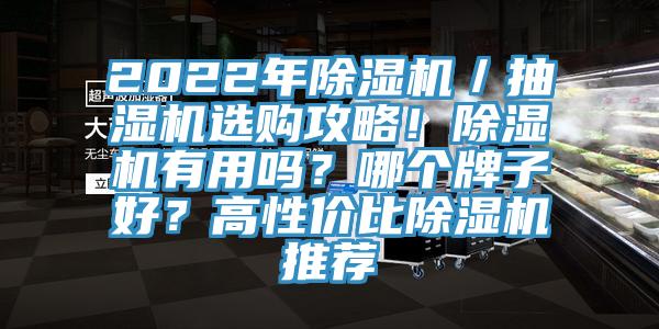 2022年除濕機／抽濕機選購攻略！除濕機有用嗎？哪個牌子好？高性價比除濕機推薦