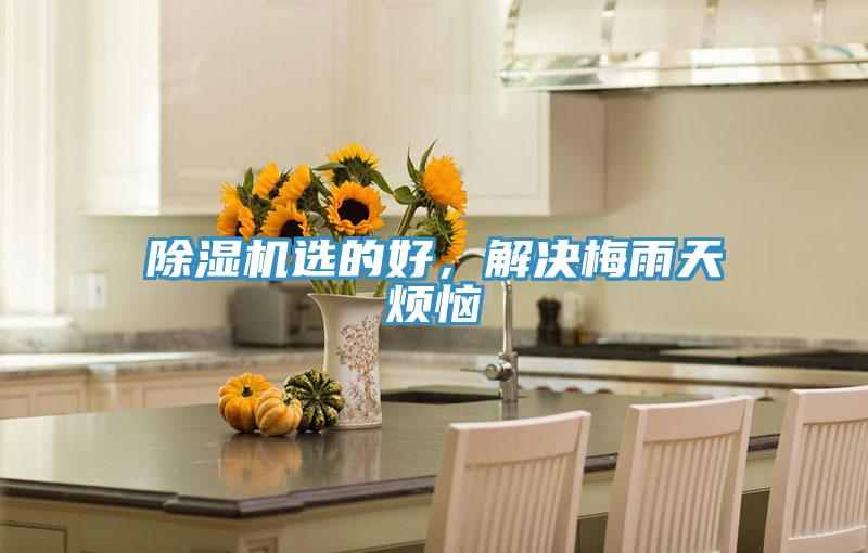 除濕機(jī)選的好，解決梅雨天煩惱