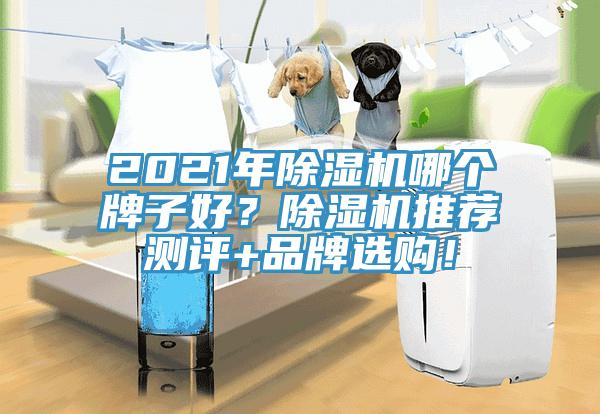 2021年除濕機哪個牌子好？除濕機推薦測評+品牌選購！