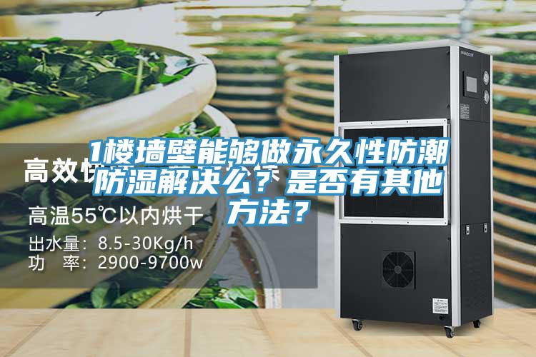 1樓墻壁能夠做永久性防潮防濕解決么？是否有其他方法？