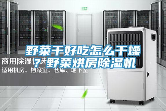 野菜干好吃怎么干燥？野菜烘房除濕機