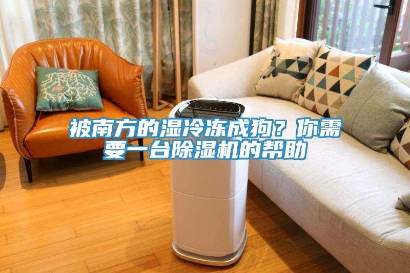 被南方的濕冷凍成狗？你需要一臺(tái)除濕機(jī)的幫助