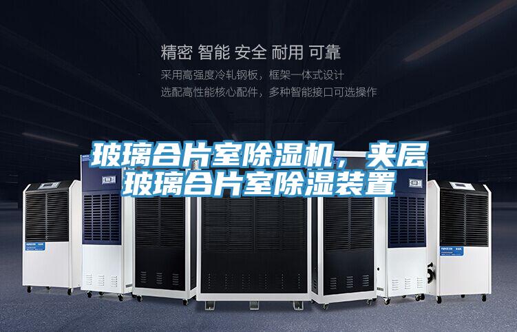 玻璃合片室除濕機(jī)，夾層玻璃合片室除濕裝置
