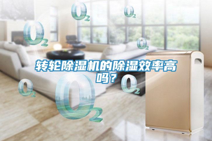 轉(zhuǎn)輪除濕機的除濕效率高嗎？