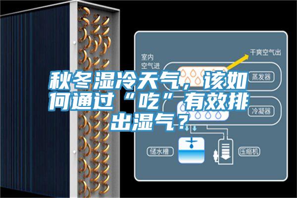 秋冬濕冷天氣，該如何通過“吃”有效排出濕氣？